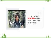 19 《探界者“钟扬》课件PPT