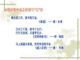 书信第一课时课件PPT