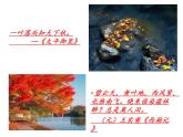 《故都的秋》ppt课件