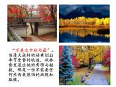 《故都的秋》ppt课件