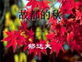 《故都的秋》ppt课件