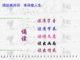 雨霖铃（寒蝉凄切）》课件