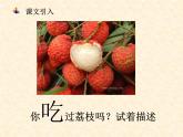 南州六月荔枝丹課件PPT