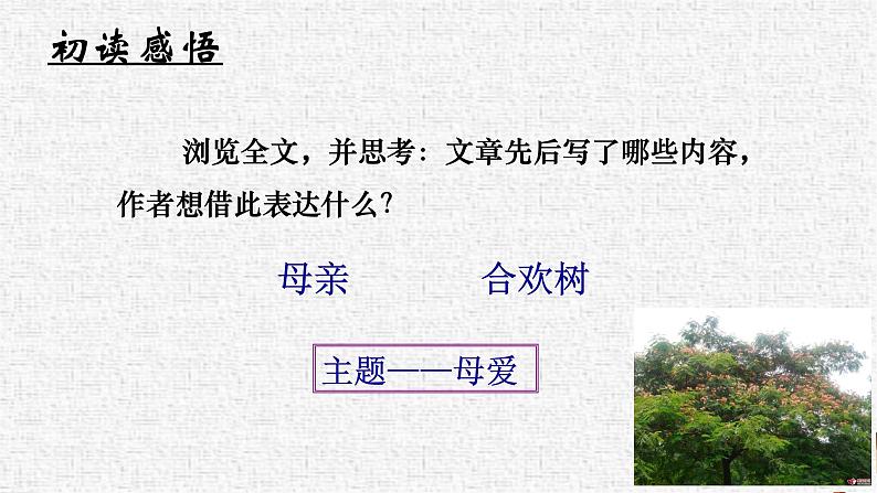 一 《合欢树》教学课件-【中职专用】高中语文同步课件第7页