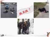 二  善良》教学课件【中职专用】高中语文同步课件（高教版·基础模块下册）
