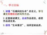 《石缝间的生命》课件 2022-2023学年人教版中职语文基础模块下册
