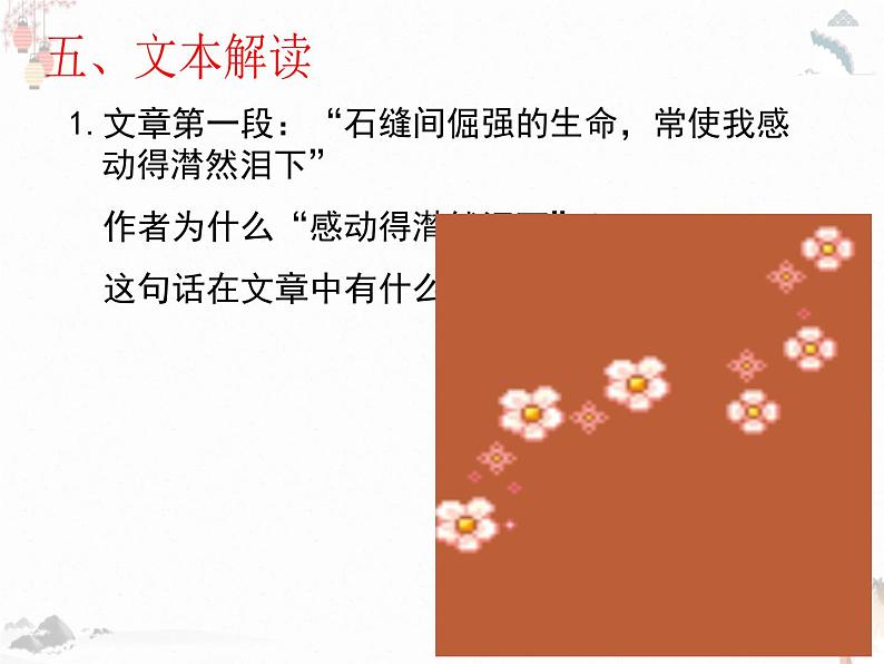 《石缝间的生命》课件 2022-2023学年人教版中职语文基础模块下册06