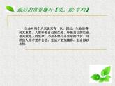 《最后的常春藤叶》课件