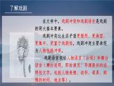 中职语文语文版基础模块下册第四单元《雷雨》课件