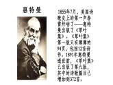 中职语文语文版基础模块下册第五单元《船长！我的船长》课件PPT