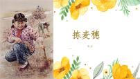 中职语文语文版（中职）基础模块 上册第一单元  把握主要内容四  捡麦穗  张洁教课内容课件ppt
