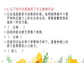 语文版中职语文基础模块上册《捡麦穗》课件