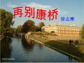 再别康桥--徐志摩课件PPT
