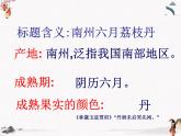 6《南州六月荔枝丹》課件 高教版中職語文基礎(chǔ)模塊下冊(cè)