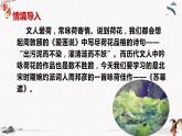 《苏幕遮》课件 高教版中职语文拓展模块