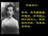 15《拿来主义》（上课用）课件PPT