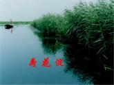 11《荷花淀》课件PPT