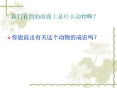 7  像山那樣思考課件PPT