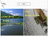 语文版中职语文基础模块上册《幽径悲剧》课件
