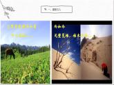 语文版中职语文基础模块上册《幽径悲剧》课件
