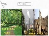 语文版中职语文基础模块上册《幽径悲剧》课件