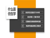 语文版中职语文拓展模块《眼睛与仿生学》PPT