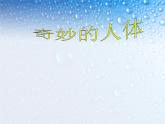 语文版中职语文拓展模块《奇妙的人体》课件