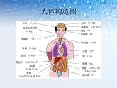 语文版中职语文拓展模块《奇妙的人体》课件