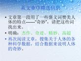 语文版中职语文拓展模块《奇妙的人体》课件