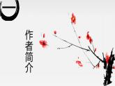 虞美人PPT课件