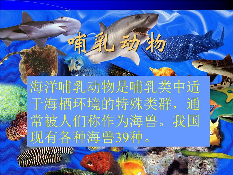 《海洋与生命》课件08