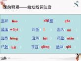 6《離太陽(yáng)最近的樹》課件 高教版中職語(yǔ)文基礎(chǔ)模塊上冊(cè)