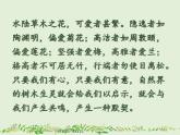 8.《窗前的樹》課件 高教版中職語文基礎(chǔ)模塊上冊
