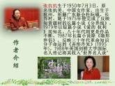 8.《窗前的樹》課件 高教版中職語文基礎(chǔ)模塊上冊