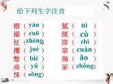 14《药》课件 年人教版中职语文基础模块上册