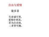 我愿意是急流课件ppt  中职语文课件ppt