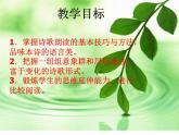我愿意是急流课件ppt  中职语文课件ppt