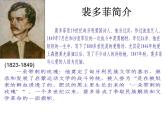 我愿意是急流课件ppt  中职语文课件ppt