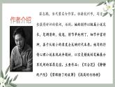 《百合花》课件 高教版中职语文基础模块下册