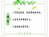 写景作文讲解 课件