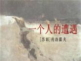 《一個人的遭遇（節(jié)選）》課件 高教版中職語文拓展模塊