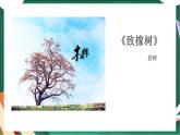 高教版（中职）语文基础模块上册第一单元《致橡树》课件+教案+同步分层练习