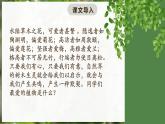 高教版（中職）語文基礎(chǔ)模塊上冊(cè)第二單元《窗前的樹》課件+教案+同步分層練習(xí)