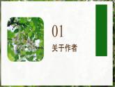 高教版（中職）語文基礎(chǔ)模塊上冊(cè)第二單元《窗前的樹》課件+教案+同步分層練習(xí)
