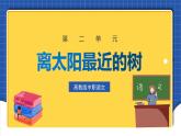 中職語(yǔ)文高級(jí)版2.6 《離太陽(yáng)最近的樹》課件+教案