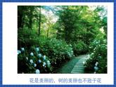 中职语文高级版2.10《记叙文  写景状物》课件+教案