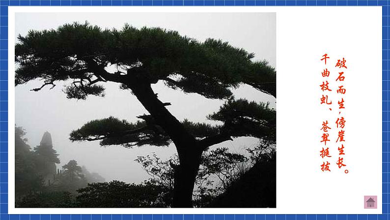 中职语文高级版6.25介绍事物 课件+教案04