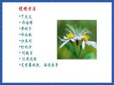 中职语文高级版6.26说明文  说明方法 课件+教案