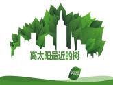 《離太陽(yáng)最近的樹》課件  高教版中職語(yǔ)文基礎(chǔ)模塊上冊(cè)