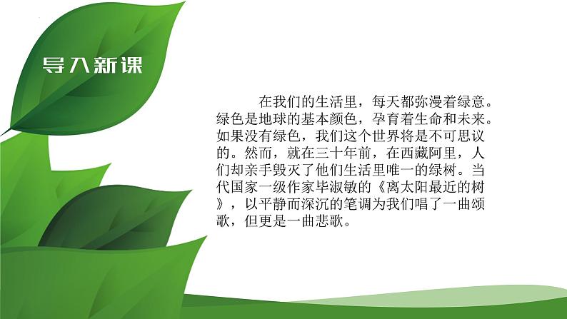 《离太阳最近的树》课件  高教版中职语文基础模块上册03